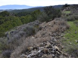 Yacimiento de la Almoloya 2007